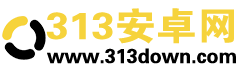 313安卓网